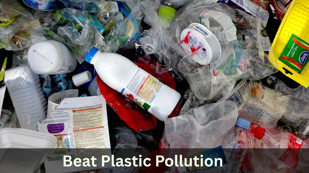 Beat Plastic Pollution