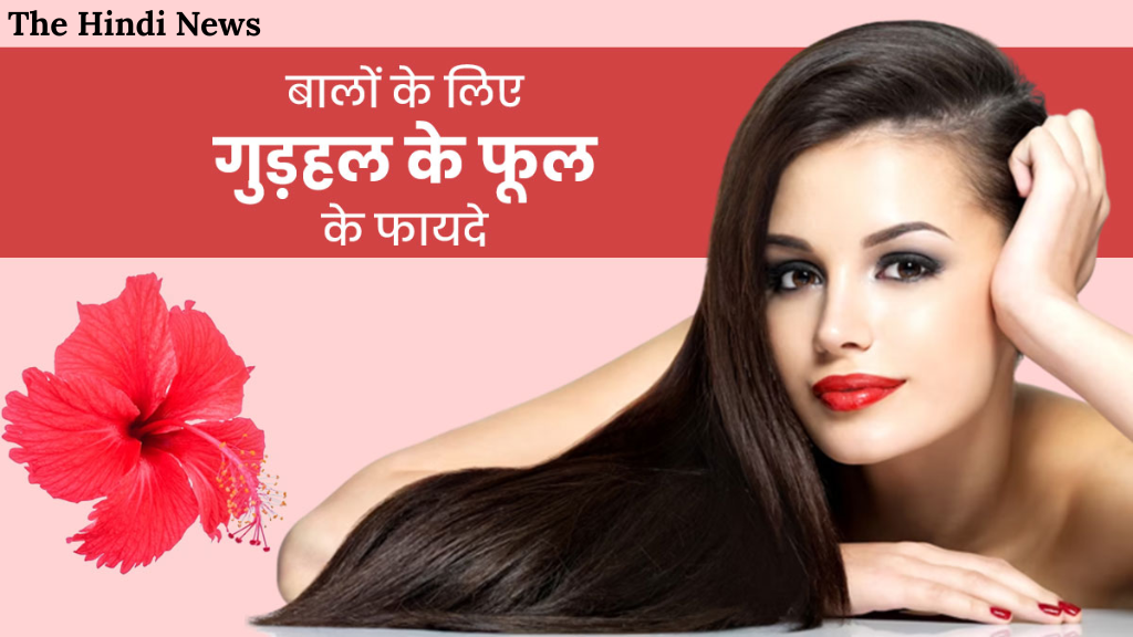 Hibiscus Flower: गुड़हल का फूल बालों के लिए वरदान है  जानिए कैसे बढ़ाता है बालों की लंबाई और चमक